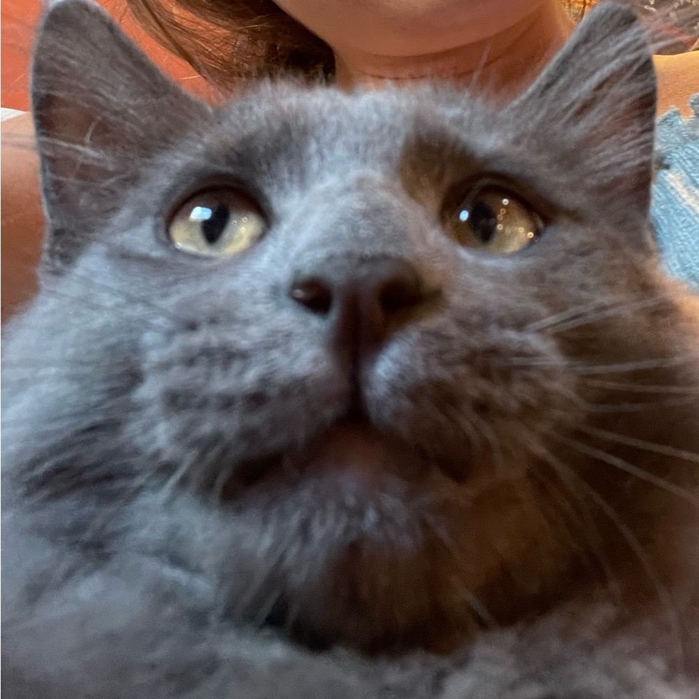 Meet your Posher, Coco